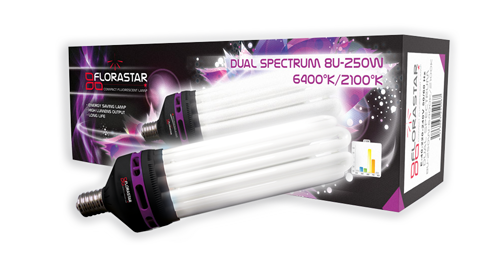 Vente de Ampoule Basse Consommation 250w dual spectre